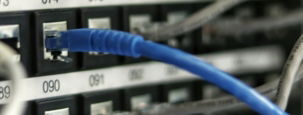 blue UTP cord